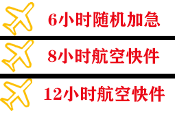成都空运代理快递公司,专业空运当天件